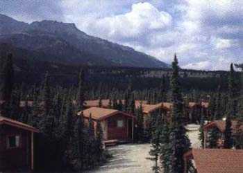 Denali Sourdough Cabins AK