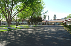 Flagstaff/Grand Canyon Travelodge