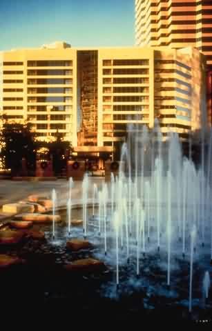 Hilton Suites Phoenix AZ