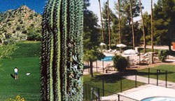 Pueblo Inn, Tucson AZ