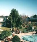 Best Western Carriage Inn, Mountain Home, Arkansas