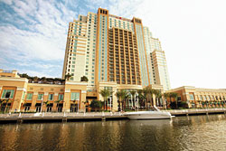 Marriott Waterside Hotel, Tampa FL