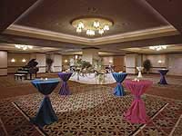 Hotel Crowne Plaza Minneapolis, Northstar (Downtown), MN