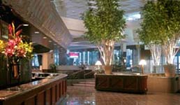Hyatt Hotel Minnesota, Minneapolis