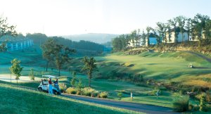 Thousand Hills Resort, Branson MO