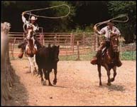 Double E Ranch, Silver City, New Mexico