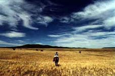 N Bar Ranch, New Mexico