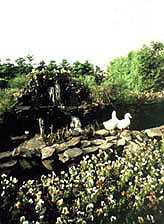 Holiday Inn Hotel, Stony Brook, Long Island NY