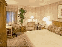Hilton Hotel, Arlington VA
